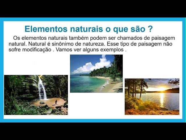 Elementos Naturais: Integrando​ Verde e​ Sustentabilidade na Decoração