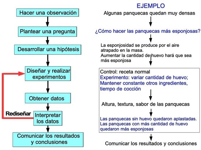 Métodos Científicos para Análise e⁤ Verificação